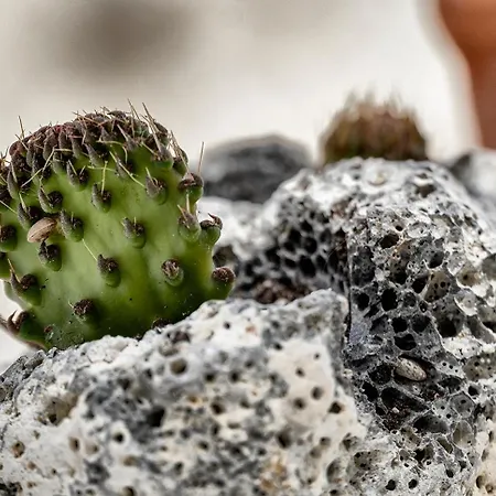 Lägenhet Mythos Traditional Stonehouse *